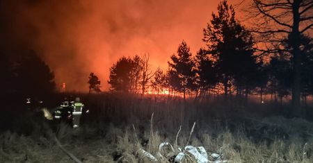 Wielki pożar w Czajkowej. Spłonęło kilka hektarów lasów i traw