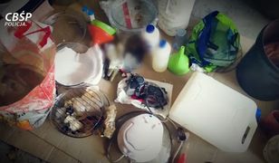 Dwa magazyny nielegalnej broni i laboratorium metamfetaminy zlikwidowane przez CBŚP