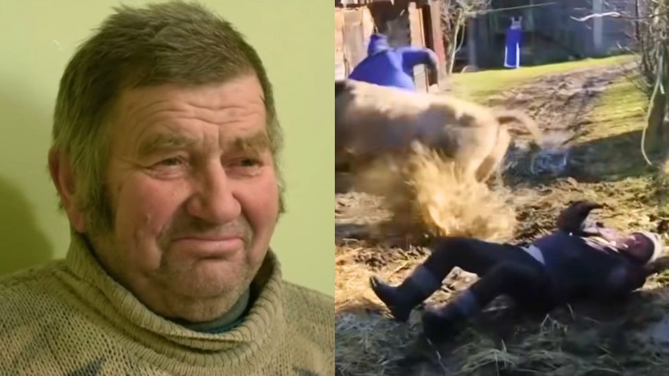 Incydent z bydłem na planie "Rolnicy. Podlasie"