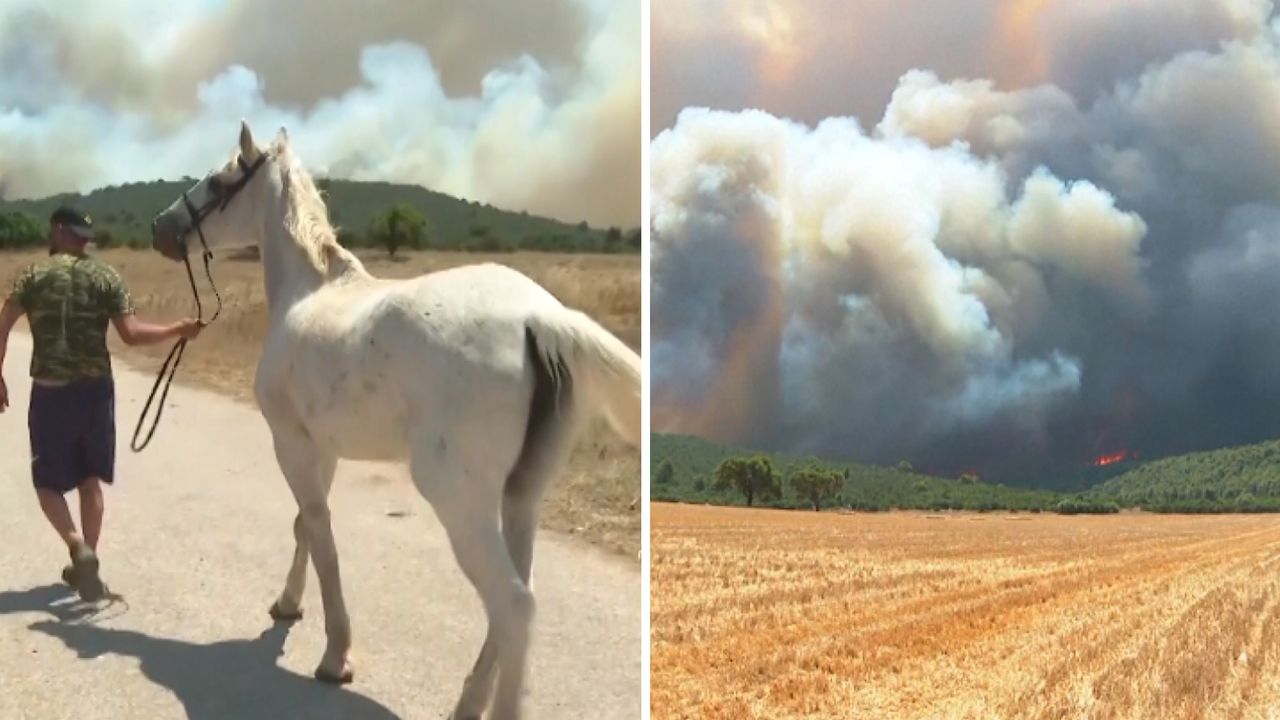 Grecja płonie. Dramat pod Atenami. Mieszkańcy uciekają z domów