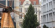 Bydgoszcz: Na Starym Rynku stanęła już choinka