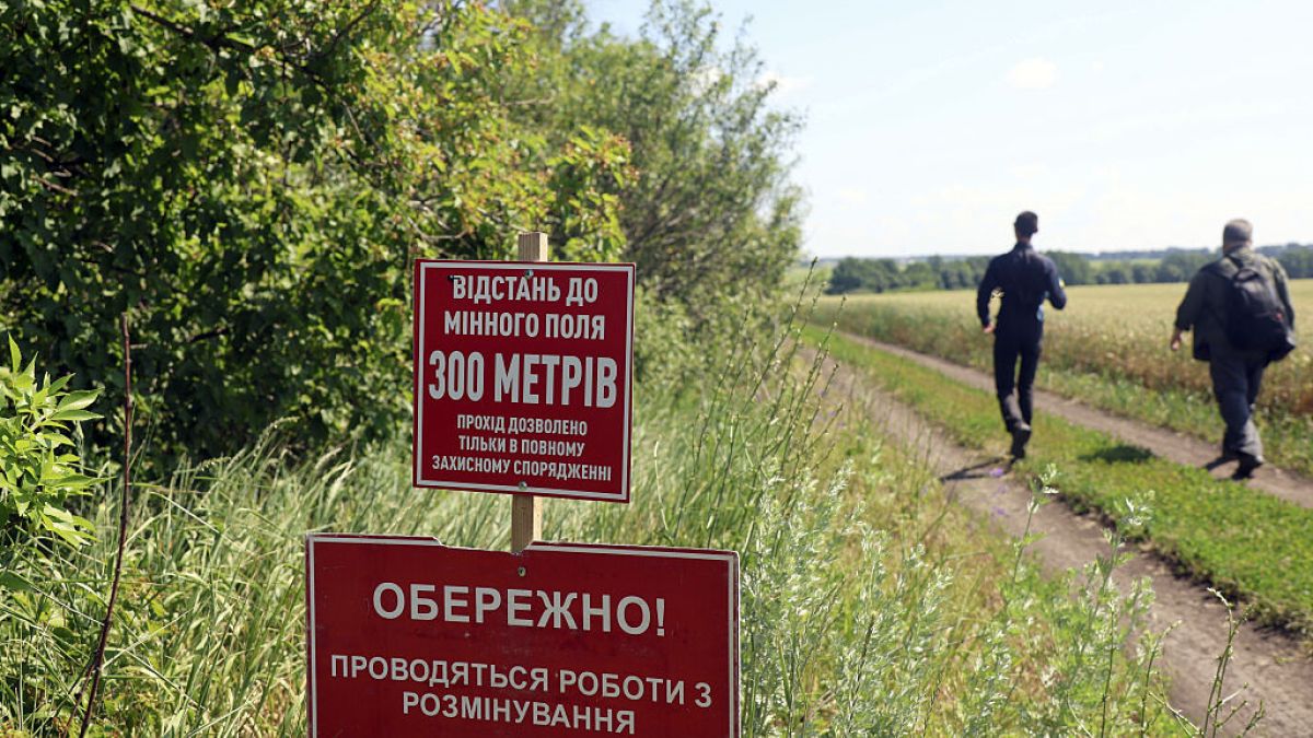 Zginęli członkowie misji humanitarnej