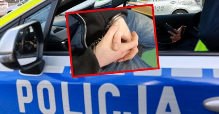 Rzucił się na pracownika i zdemolował sklep. 39-latek usłyszał zarzuty