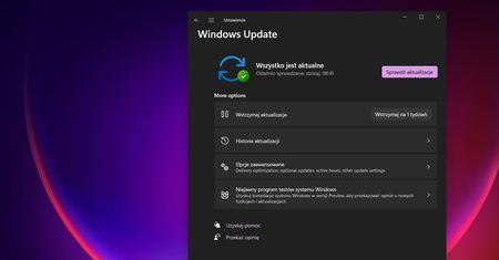 Windows 11 ma problem po aktualizacji KB5014019