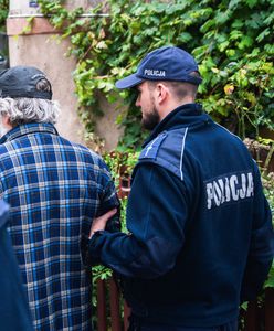 Atak psów pod Zieloną Górą. Nowe doniesienia o właścicielu