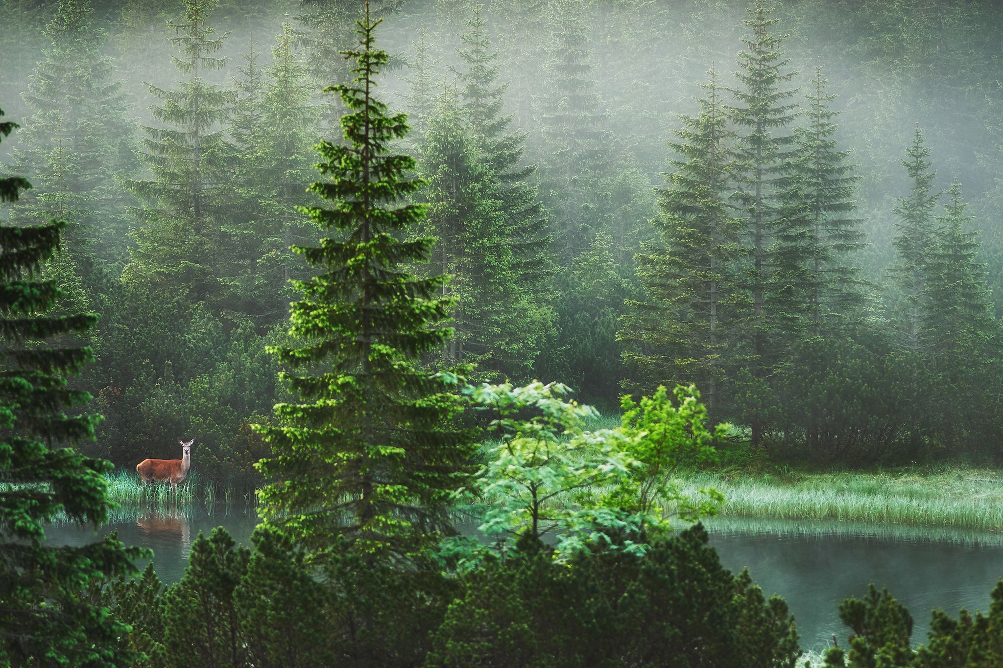 Jego zdjęcia robią wrażenie