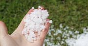 Toruń: Grad i krupa śnieżna? Pogoda nie rozpieści. Synoptyk...