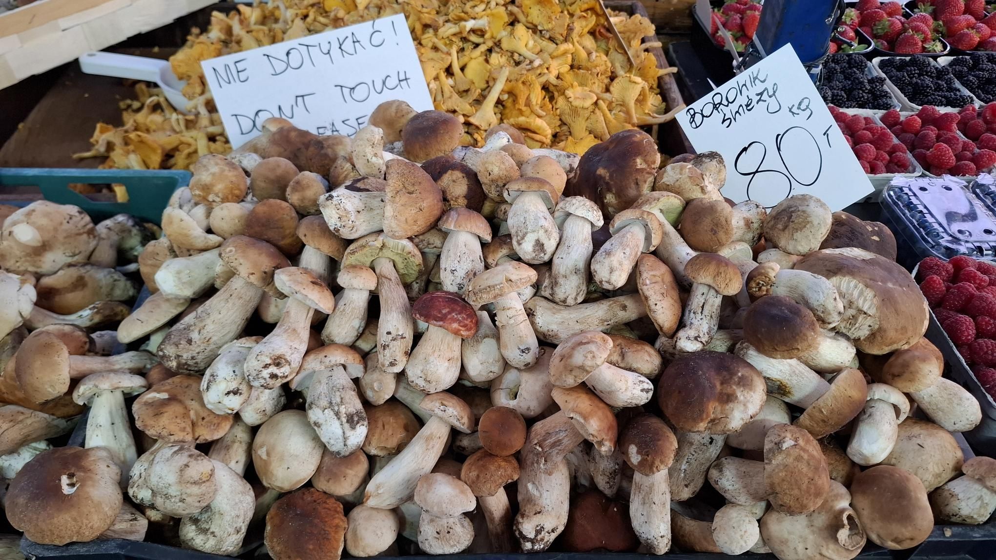 Ceny grzybów na Starym Kleparzu w Krakowie