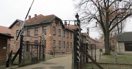Narodowy Dzień Pamięci Ofiar Niemieckich Nazistowskich Obozów Koncentracyjnych i Obozów Zagłady. Historia, obchody, wydarzenia - co warto wiedzieć?