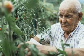 Sekret długowieczności stulatków. Łączy ich jedna wspólna cecha