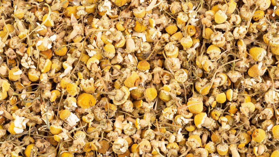 chamomile, dry, herb, flower, herbal tea, herbal medicine, alternative, medicine, herbal, healthy, aromatic, dried, plant, traditional, tea, health, natural, remedy, beverage, cosmetics, ingredient, organic, calm, spa, therapy, wellness, background, stress