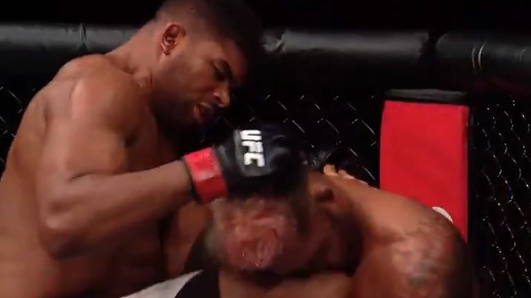 Alistair Overeem brutalnie znokautował Marka Hunta na UFC 209