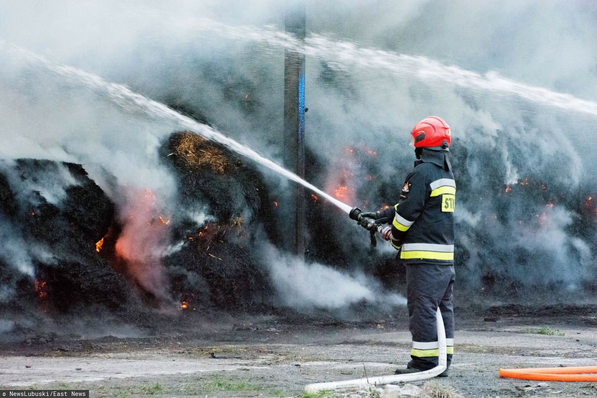 Pożar Elektrowni Bełchatów wybuchł w sobotę/Zdjęcie ilustracyjne