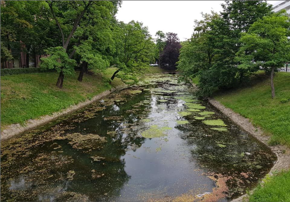 fosa miejska Wrocław