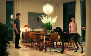 Ale kino+ Paw zwyczajny