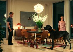 Ale kino+ Paw zwyczajny