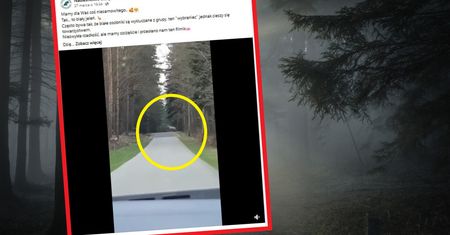 Sensacja w lasach nadleśnictwa Leżajsk. Jest nagranie