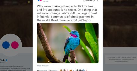 Flickr ogranicza darmowe konto do 1000 zdjęć - płacący za to z większymi korzyściami