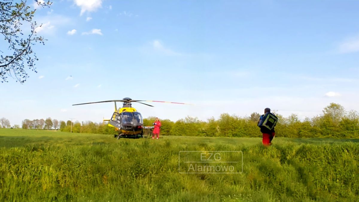 Kobieta i jej pies porażeni prądem