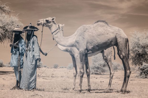 Terri Gold fotografuje święto koczowniczych plemion Wodaabe w podczerwieni 3