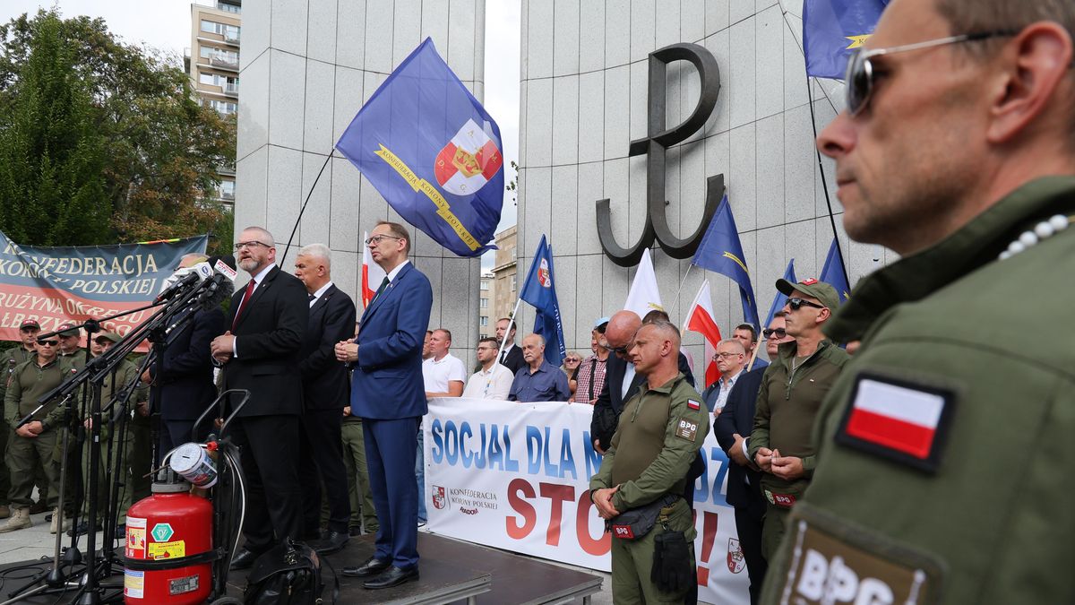 
Konfederacja Korony Polskiej, 