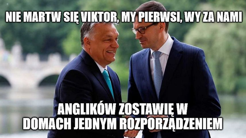 Zdjęcie okładkowe artykułu: 