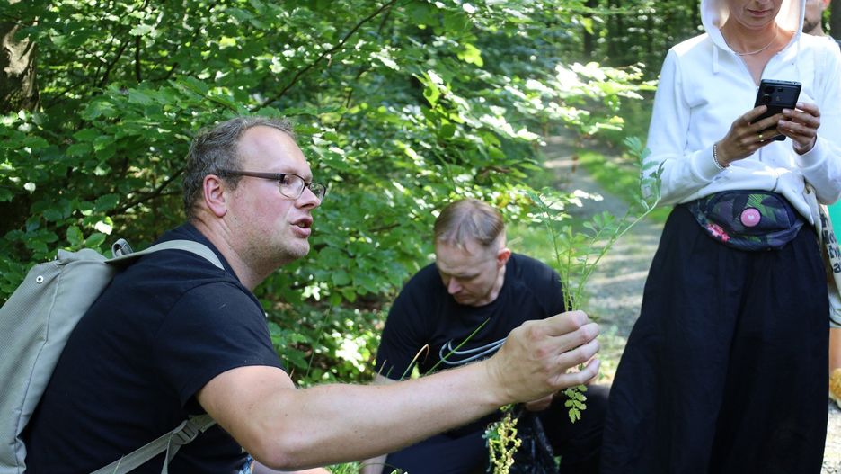 Spacery zielarskie z fundacją Ziołogród