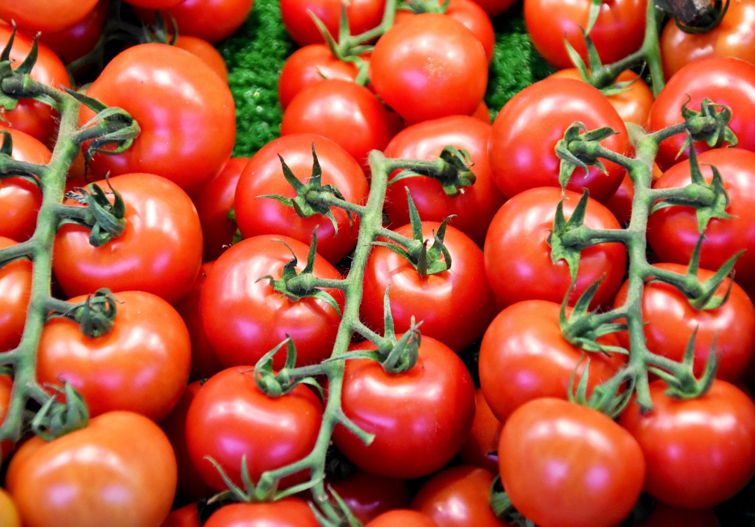 Polskie pomidory za 80 zł. Wiosną czekają nas podwyżki