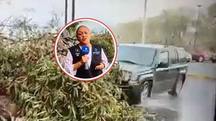 Auto wpadło w reporterkę i operatora. Przerażające wideo z Meksyku