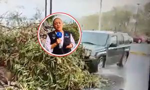 Auto wpadło w reporterkę i operatora. Przerażające wideo z Meksyku