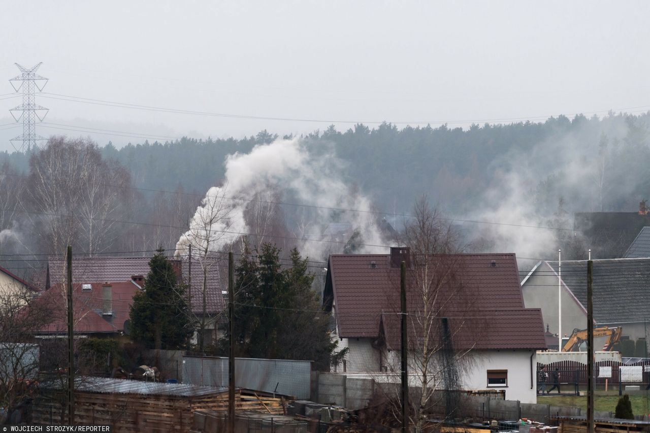 Zakaz pieców na gaz? Tak. A pellet? Zadziwiający ruch Unii