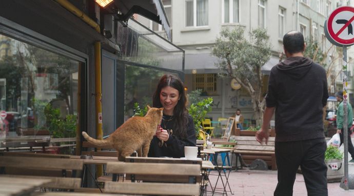 360° Świat bez granic