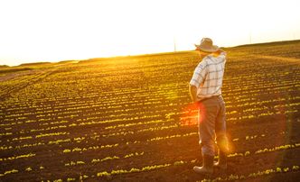 Agrointernet. Jak technologie zmieniają sektor rolnictwa