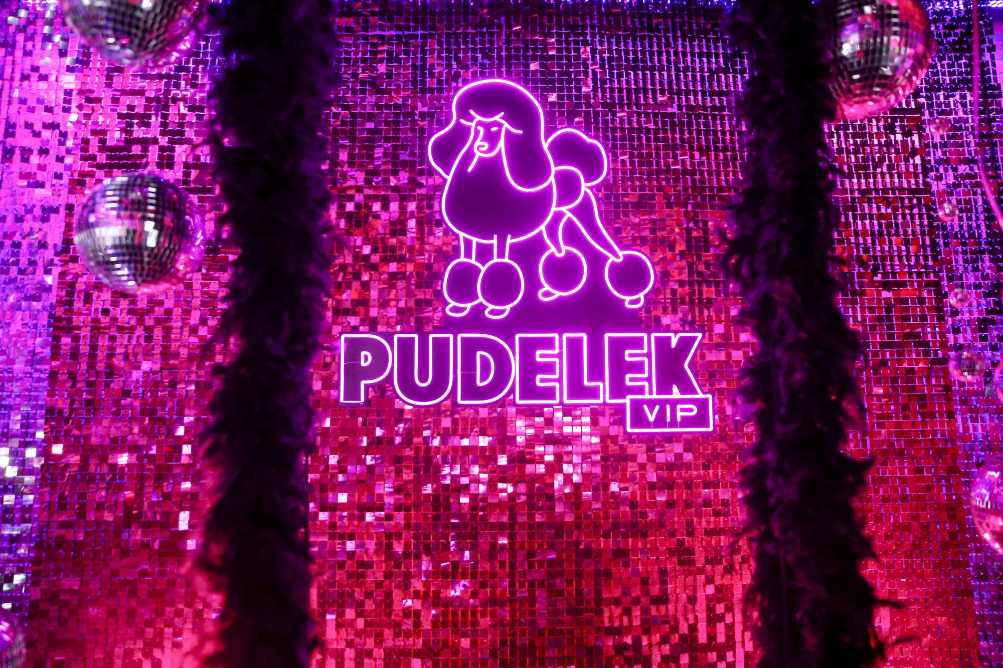 Pudelek VIP