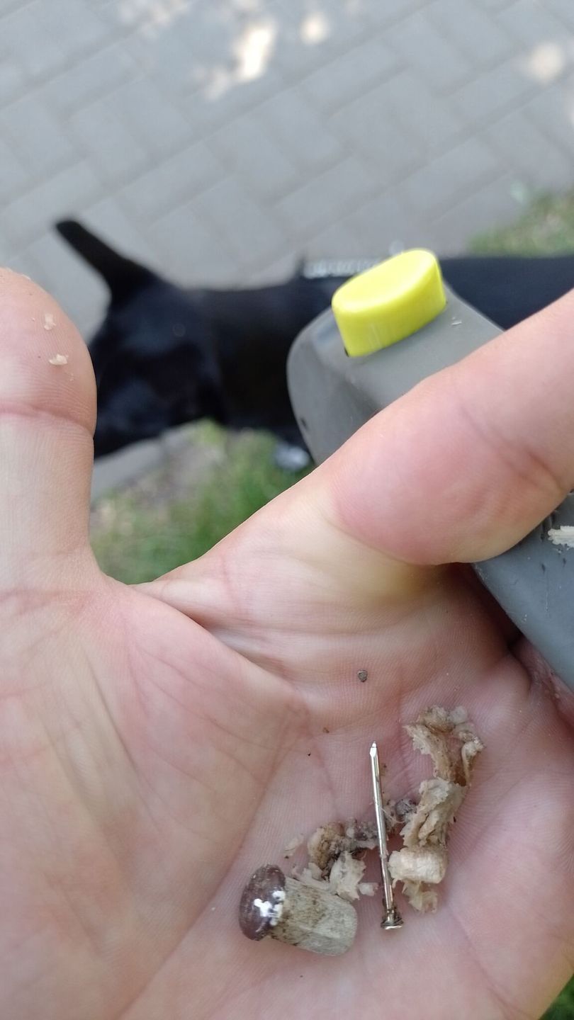 Mięso nafaszerowane gwoździem i kawałkiem metalu