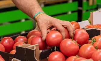 Wynagrodzenia w branży spożywczej w 2020 roku