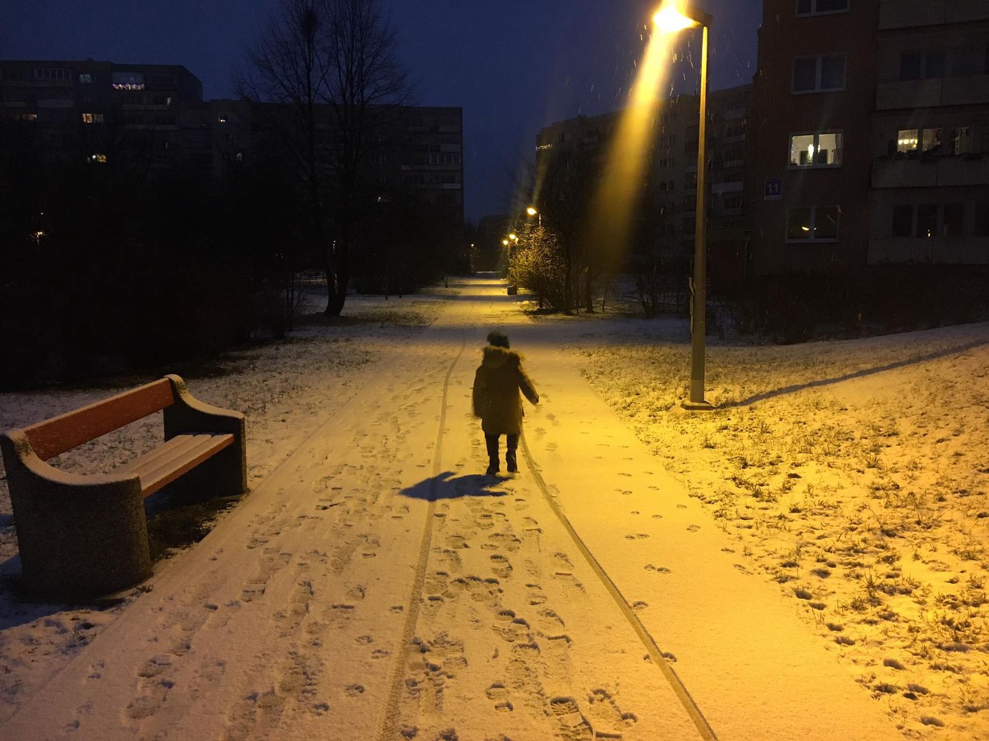 Zima
