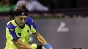 Wimbledon: David Ferrer nie zagra