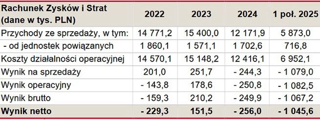 Wyniki finansowe Do Rzeczy