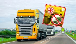 Żywność z Afryki w rękach służb. 500 kilogramów jechało do Polski