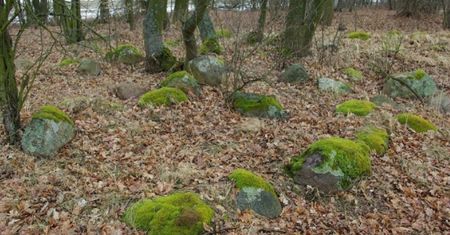 Średniowieczne cmentarzyska na Mazowszu. Tajemnica 500 nekropolii
