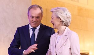 KPO to sukces Tuska? Polacy już wiedzą