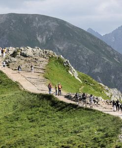 Tatry. Kochają chodzić po górach. Para wzięła ślub na Kasprowym Wierchu