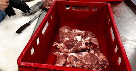 "Lewe" mięso do kebabów. Nowe informacje ws. afery pod Bydgoszczą