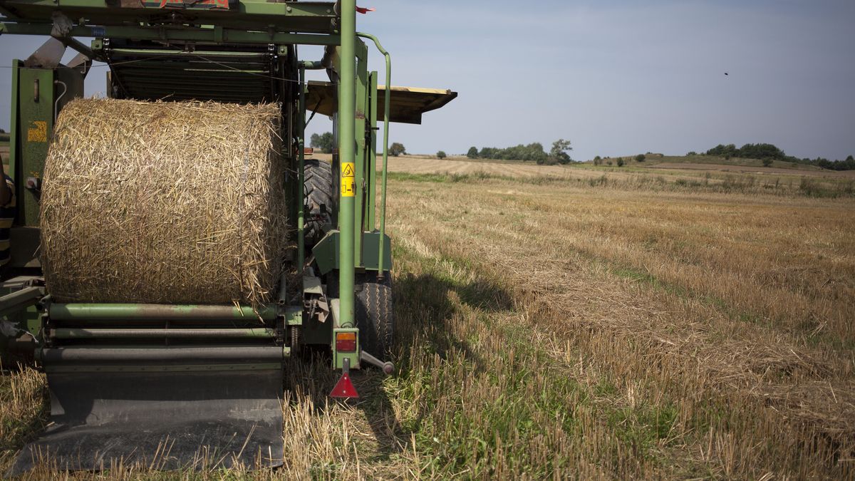 Polscy rolnicy mają dostać od UE prawie 40 mln euro