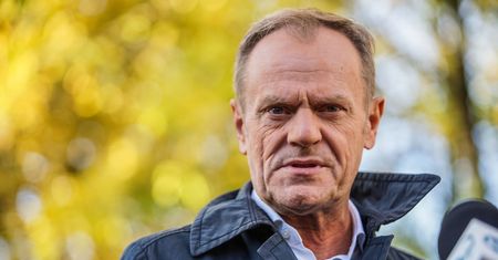 PiS miażdży PO. Donald Tusk będzie załamany