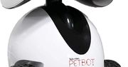 Ten robot będzie bawił się z twoim zwierzakiem, kiedy Ty będziesz poza domem