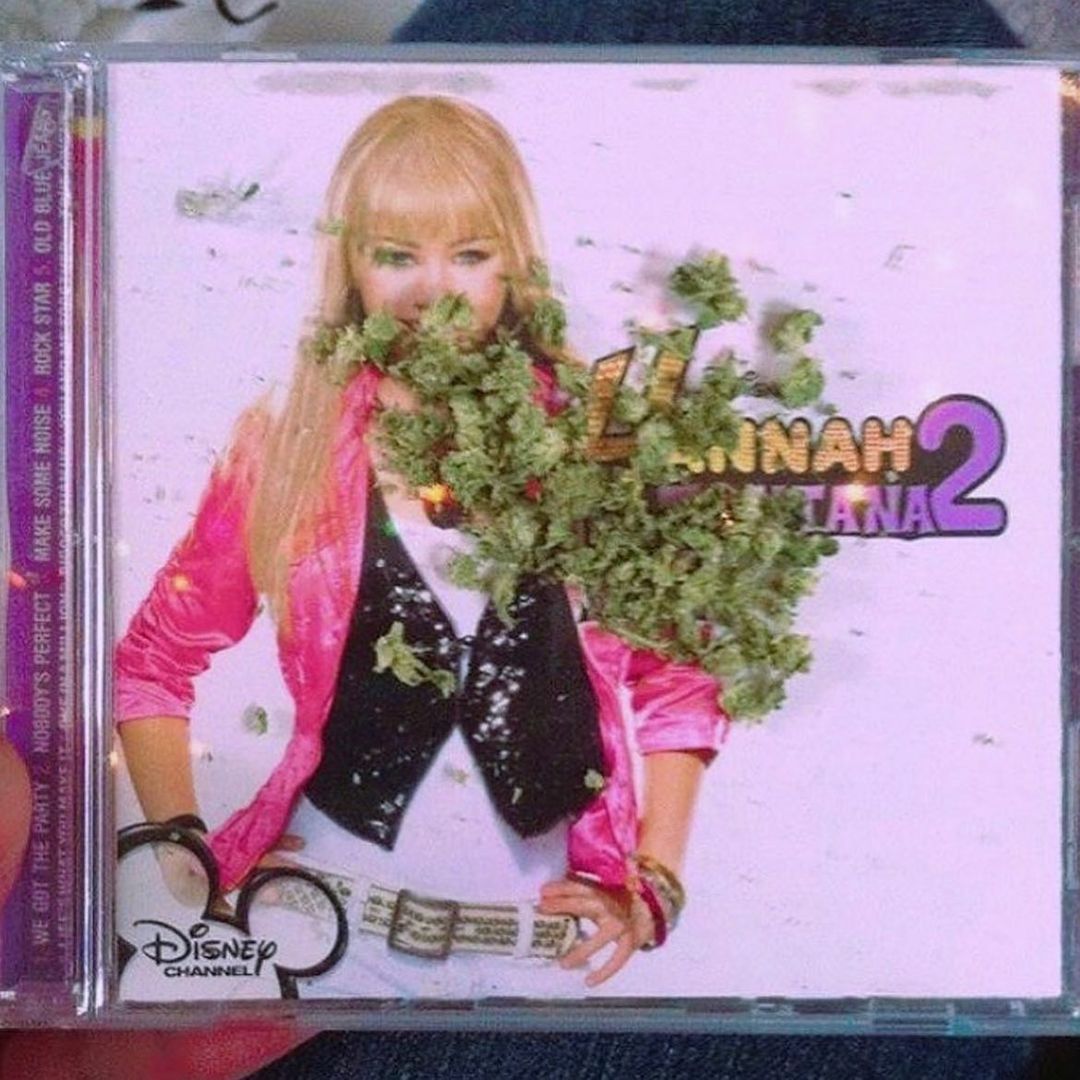 Miley Cyrus - post z okazji Dnia Kota