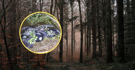Młoda kobieta nie wróciła do domu. Rodzina znalazła ją przy drodze