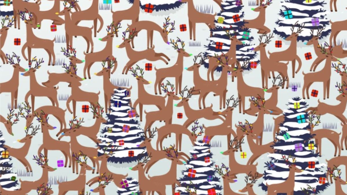 Świąteczny test na spostrzegawczość 